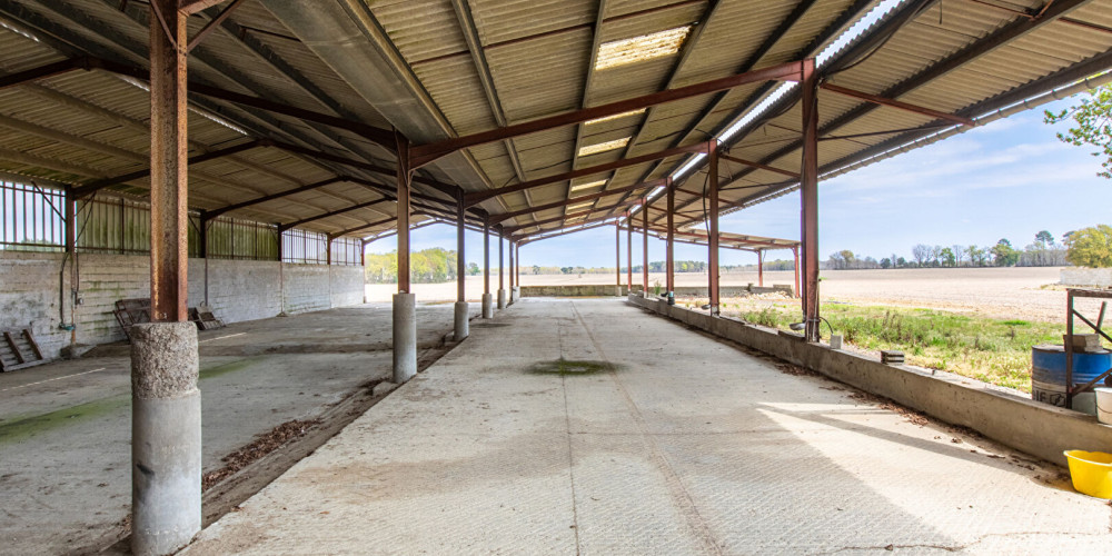 maison à EUGENIE LES BAINS (40320)